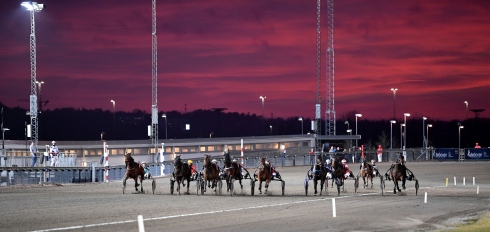 Upploppfight på Åbytravet. Foto av Malin Albinsson/TR Bild